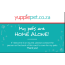 yuppiepet-home-alone-card-front